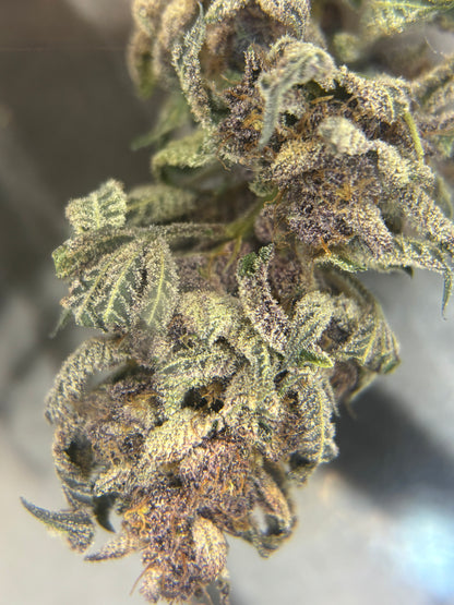 THCa Flower In stock